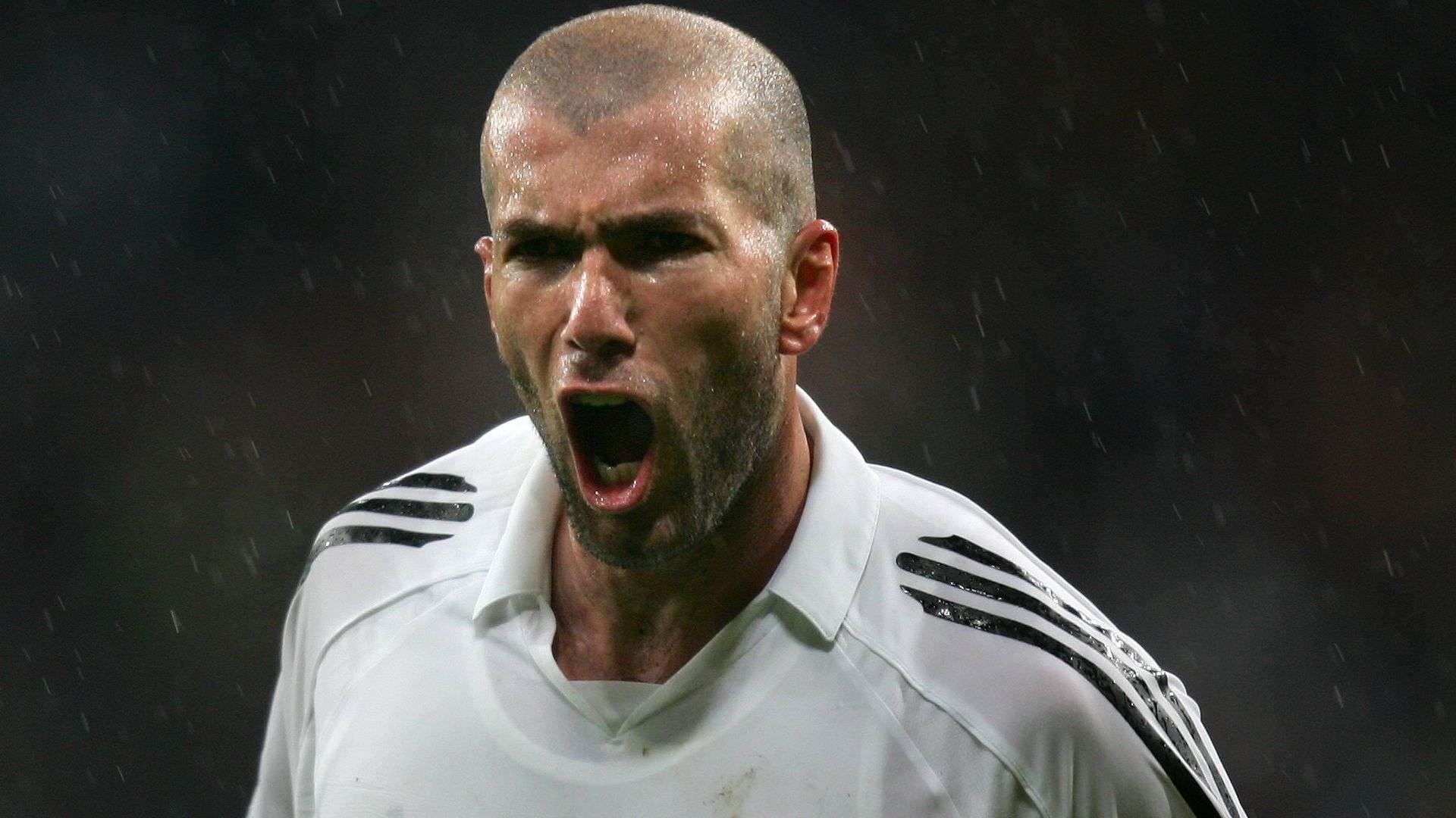 大特質便是 大特質便是