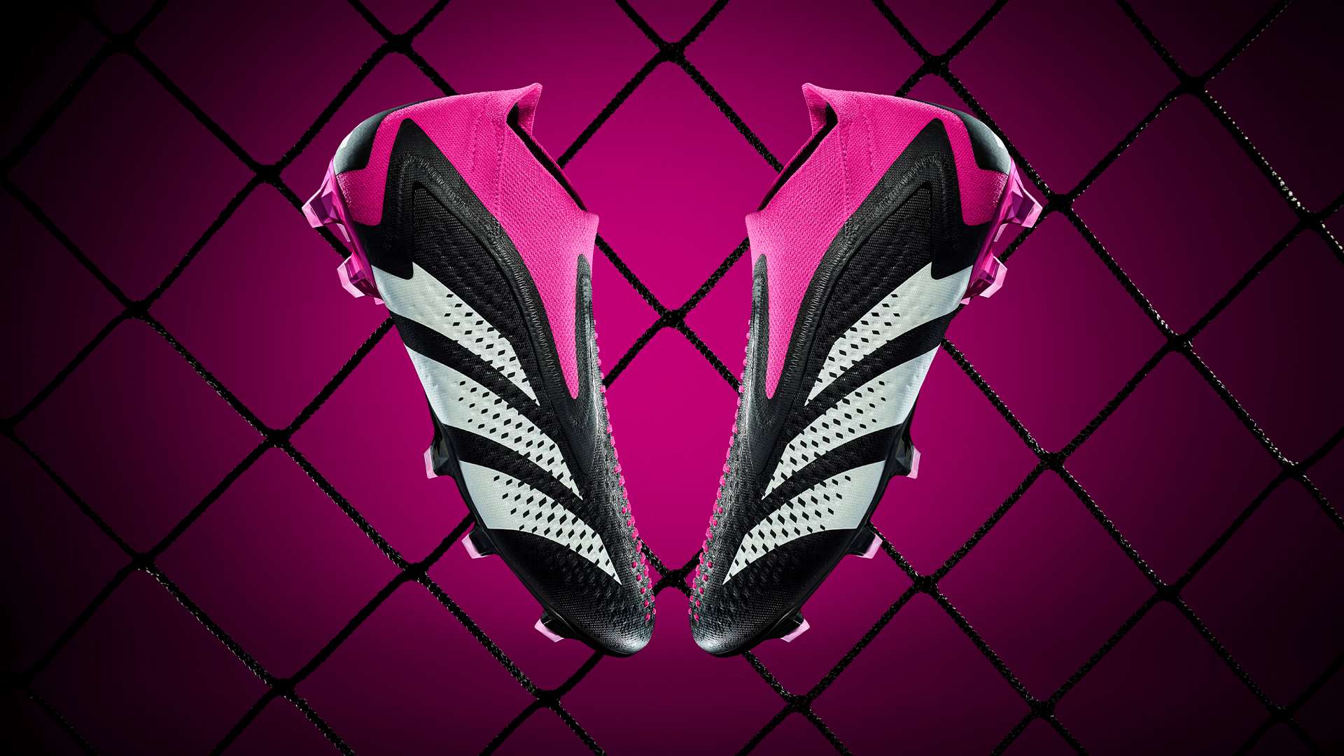 顯示出其獨 顯示出其獨